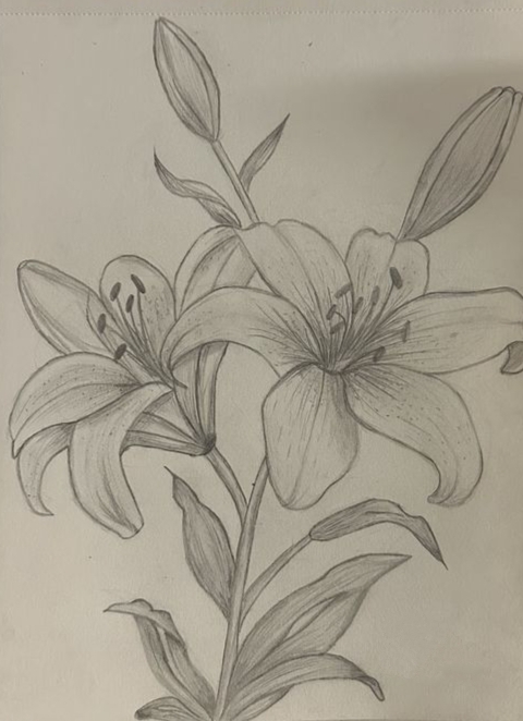 Home pencil sketch
sketchbook
pencil
easy sketch drawing