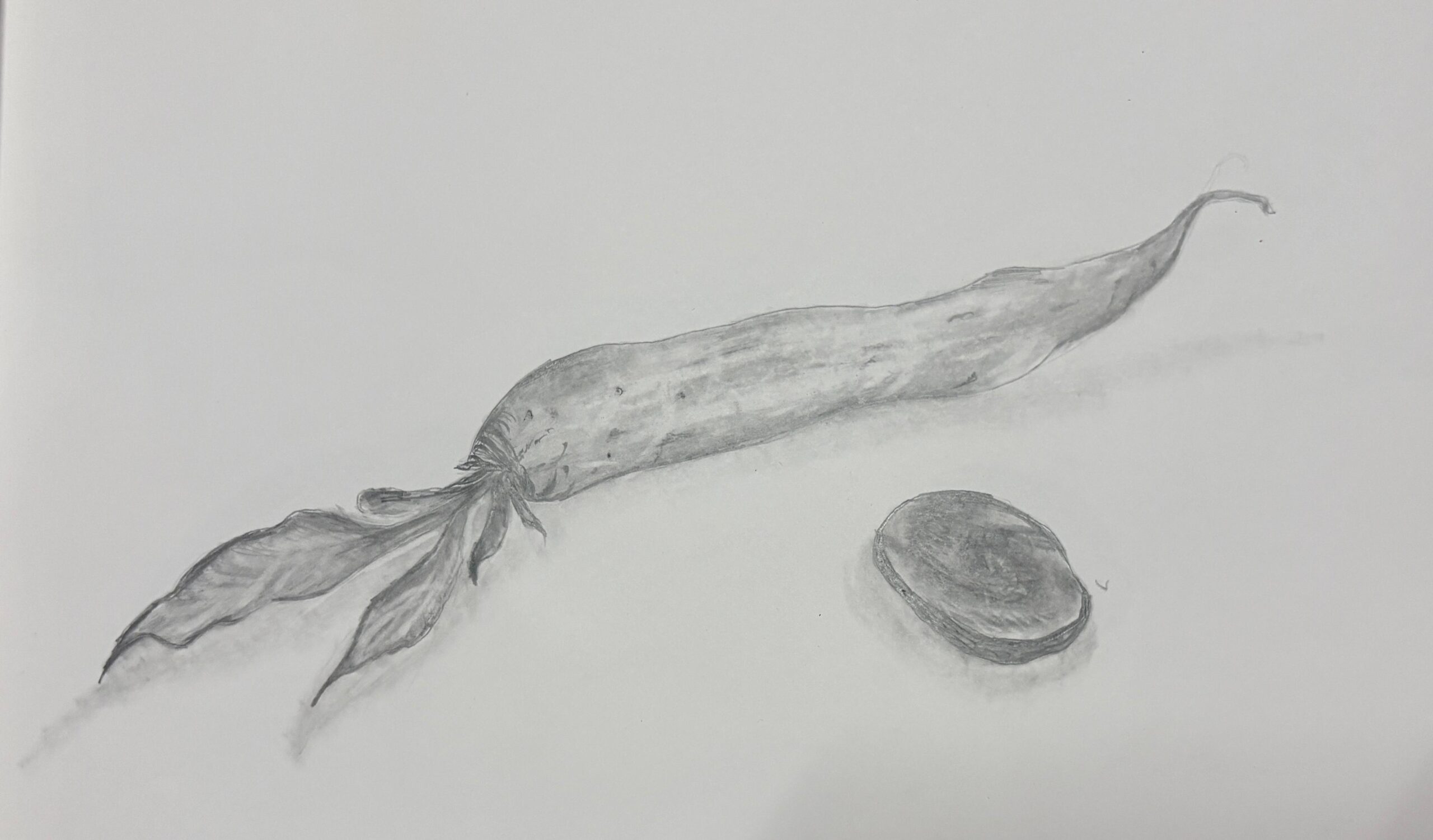 pencil sketch
sketchbook
pencil
easy sketch drawing